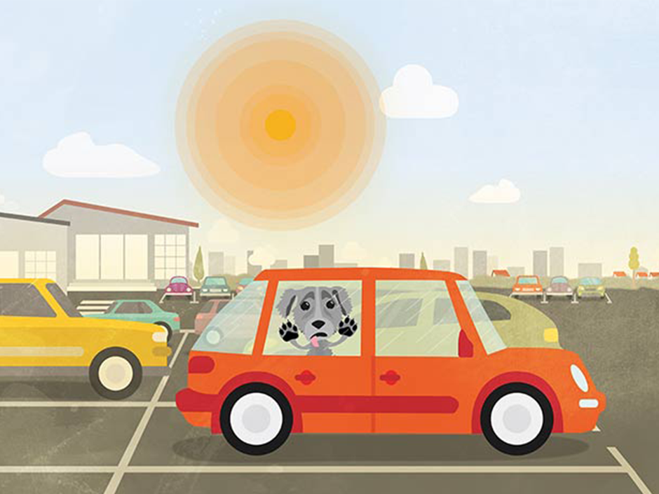 Tödliche Hitzefalle: Jedes Jahr sterben Hunde im Sommer im aufgeheizten Auto.