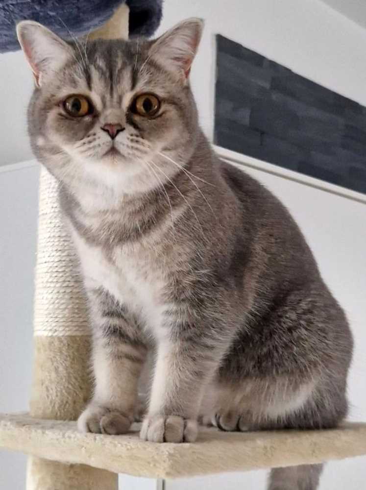 TINKA in 40699 Erkrath, Falkenberger Weg