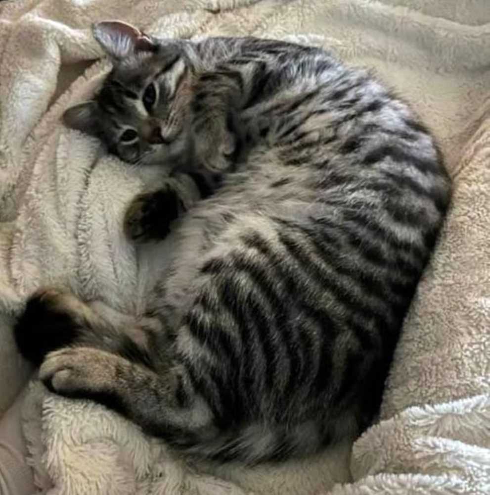 TASSOSuche in 55743 IdarOberstein ELI