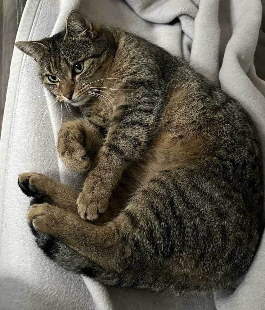 NALA in 54313 Zemmer