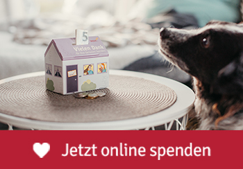 danke-hund-sitz-im-wohnzimmer_TASSO-spendenhaeuschen.jpg