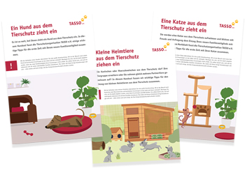 verantwortungvolle-tierhaltung_handouts-heimtiere_hinweis_grafik.jpg