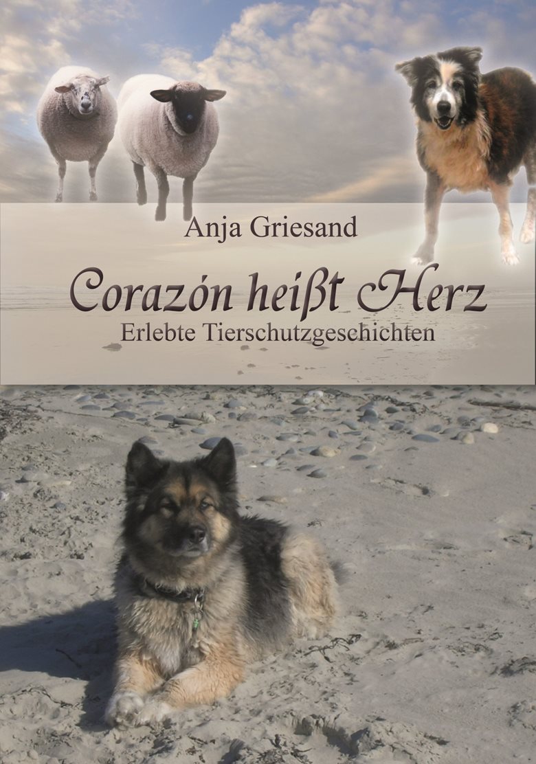 Cover Crazón heißt Herz
