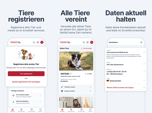 Mock-Ups: TASSO-App auf Smartphone.