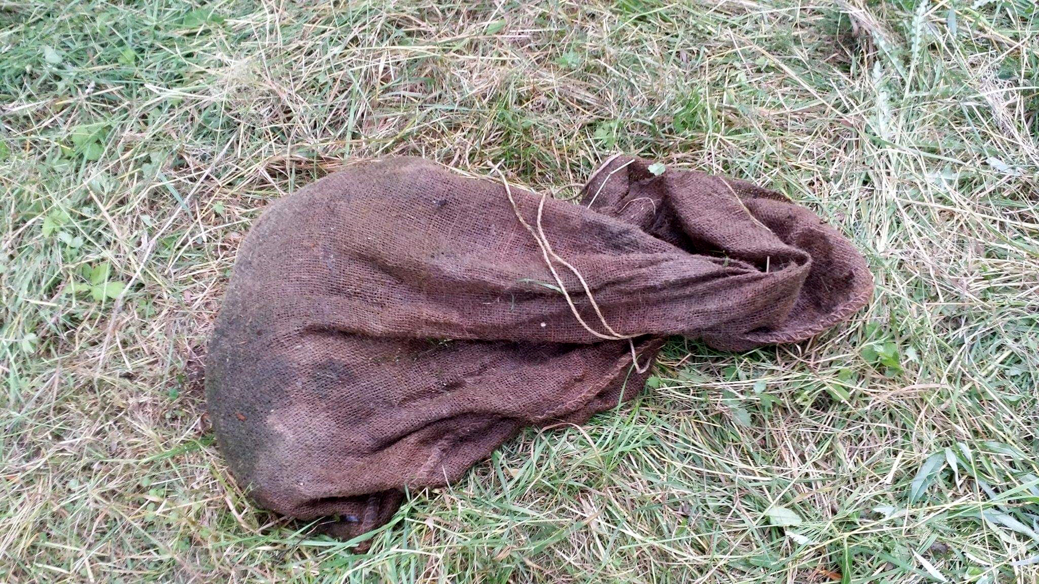 grausamer fund in wunstorf tasso