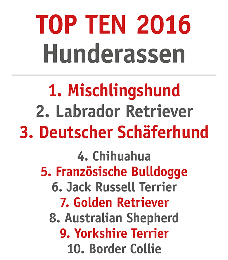 Die beliebtesten Hunderassen 2016 in Deutschland.
