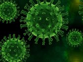 Corona-Virus