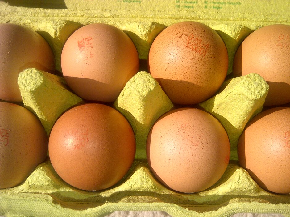 Eier in einer gelben Verpackung