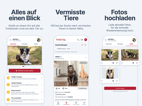 Mock-Ups: TASSO-App auf Smartphone.