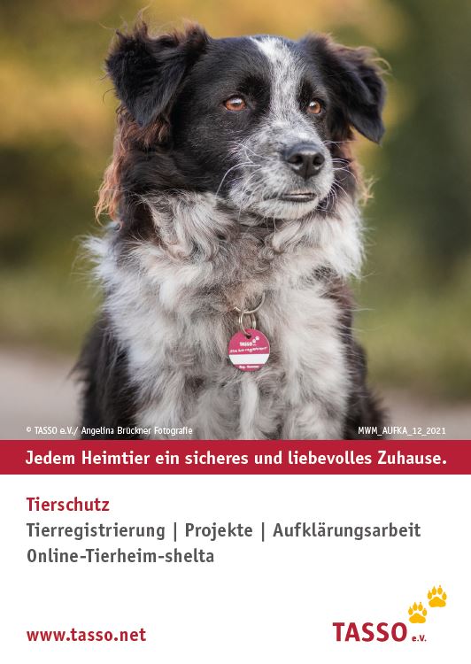 Aufkleber Hund