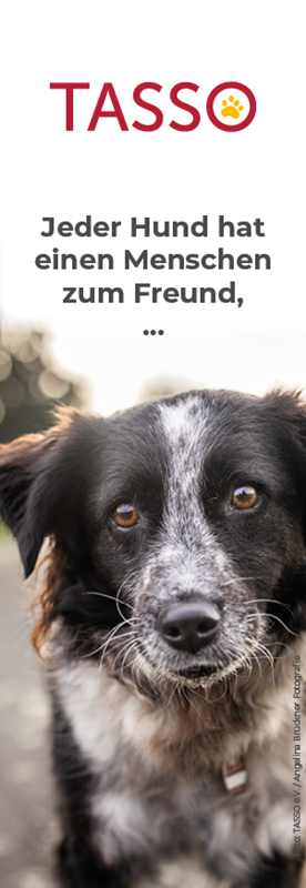 Lesezeichen Hund