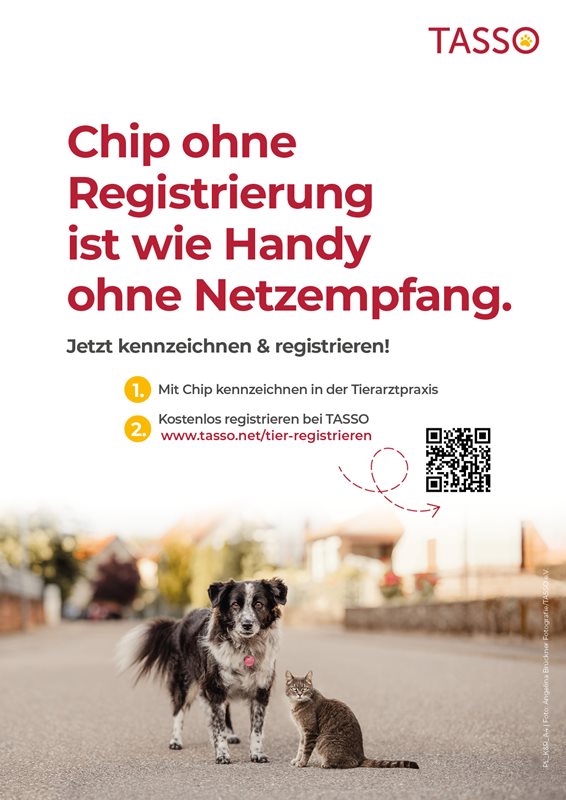 Plakat TASSO-Prinzip (DIN A4)