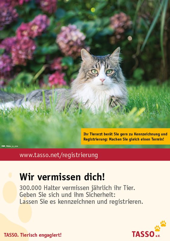 Plakat Katze (DIN A3)