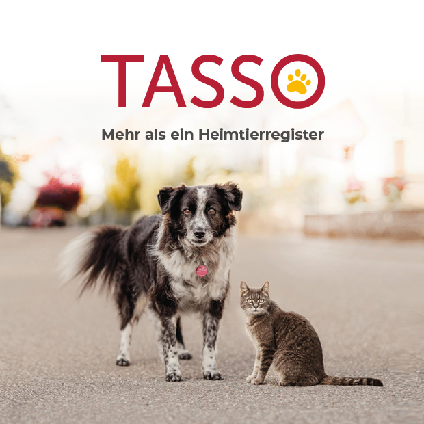 TASSO-Imageflyer