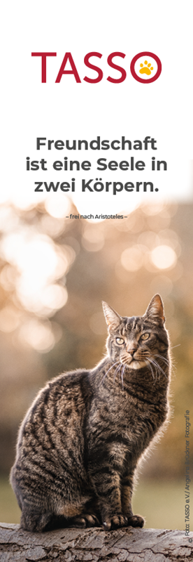 Lesezeichen Katze