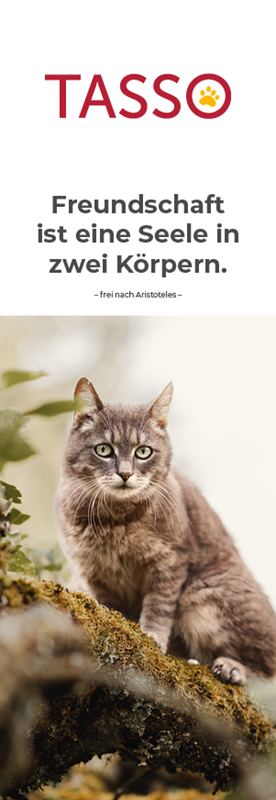 Lesezeichen Katze