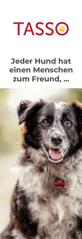 Lesezeichen Hund