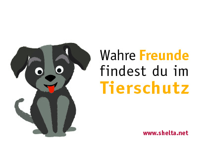 shelta-Postkarte Hund (derzeit nicht erhältlich)