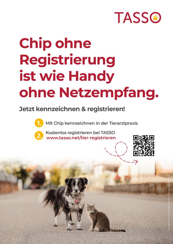 Plakat TASSO-Prinzip (DIN A3)