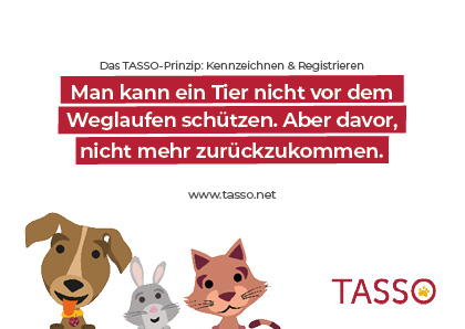 TASSO-Prinzip Postkarte