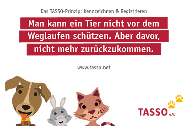 TASSO-Prinzip Postkarte