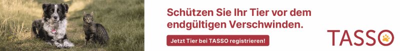 TASSO-Banner