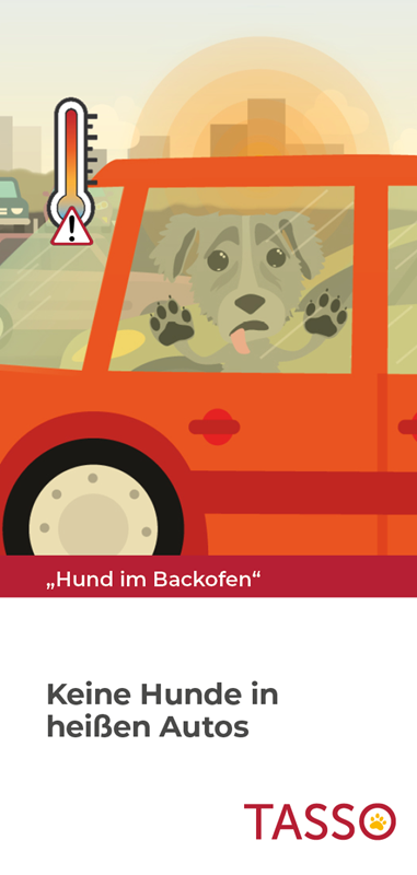 „Hund im Backofen“ Flyer