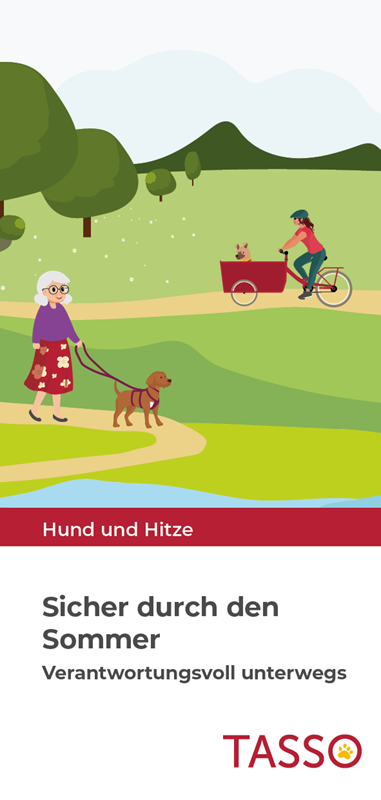 „Hund und Hitze“ Flyer