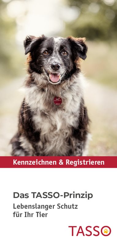 Flyer „Das TASSO-Prinzip“