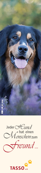 Lesezeichen Hund