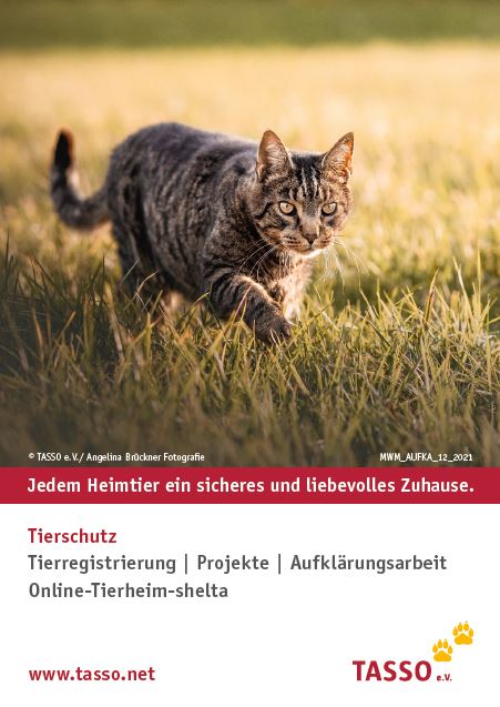 Aufkleber Katze