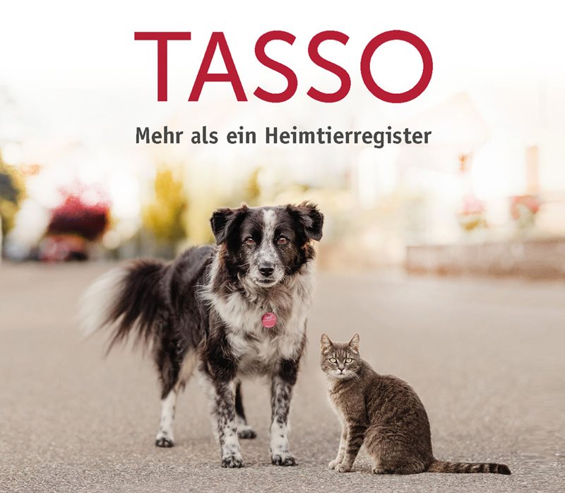 TASSO-Imageflyer