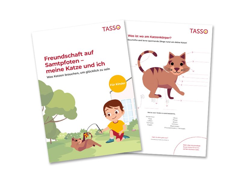 TASSO-Katzenfibel