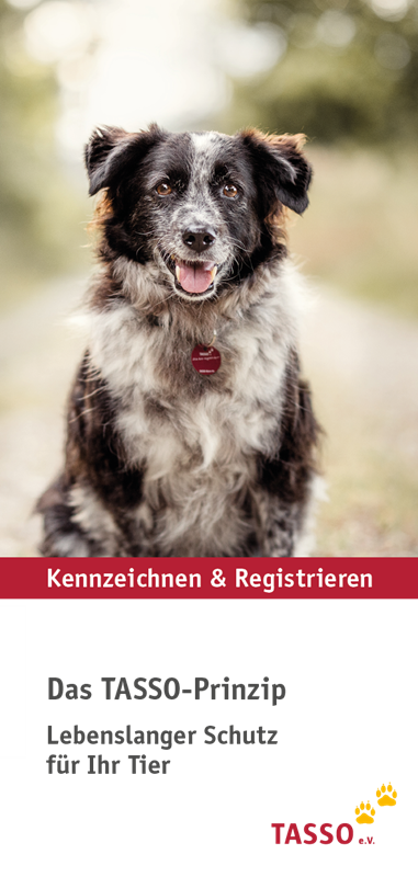Flyer „Das TASSO-Prinzip“