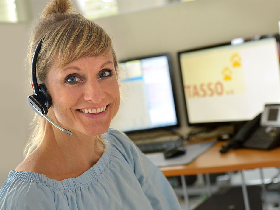 Bewerbung Telefondienst Tasso