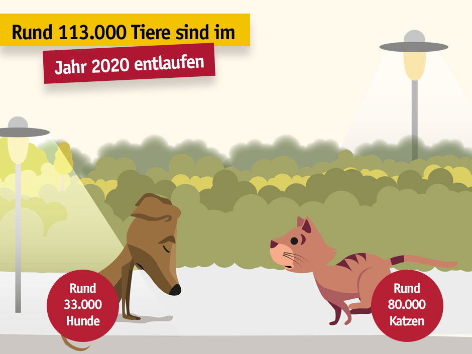 Mehr als 93.000 Tiere wurden wieder mit ihren Menschen vereint. 