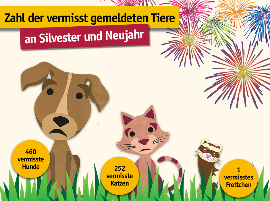 Zahl der vermisst gemeldeten Tiere an Silvester und Neujahr.