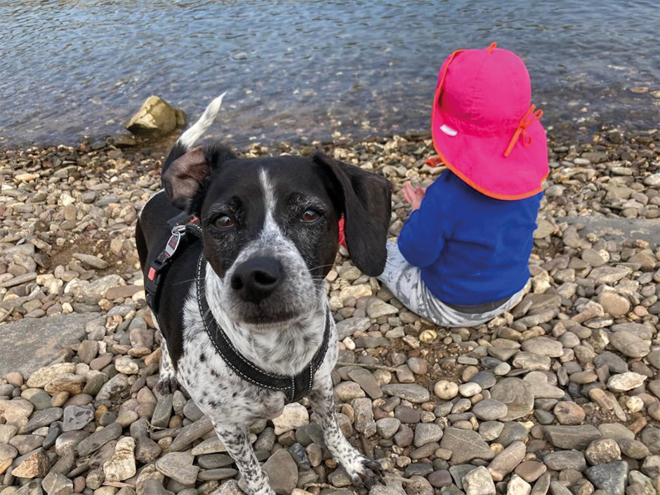 Hund und Kind sitzen am Wasser