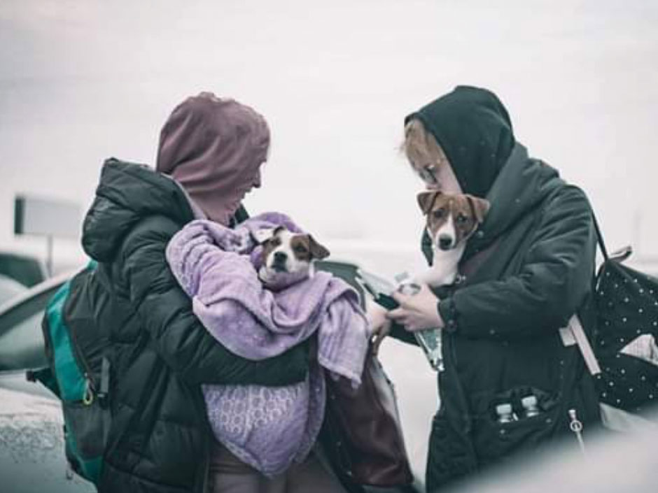 Zwei Flüchtlingen aus der Ukraine mit ihren Hunden