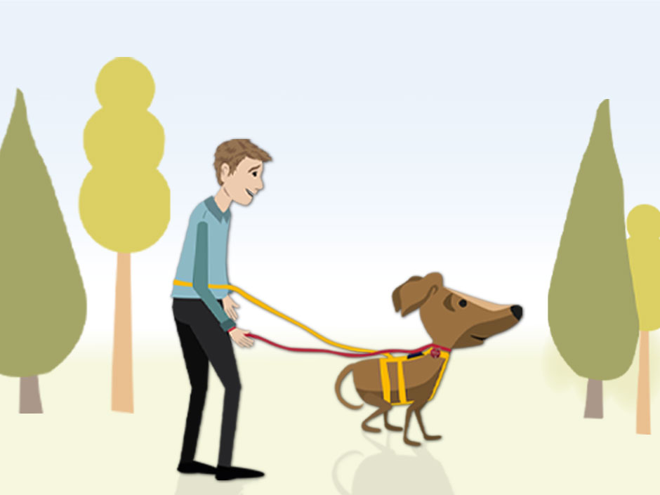 Grafik: Halter geht mit Hund spazieren.