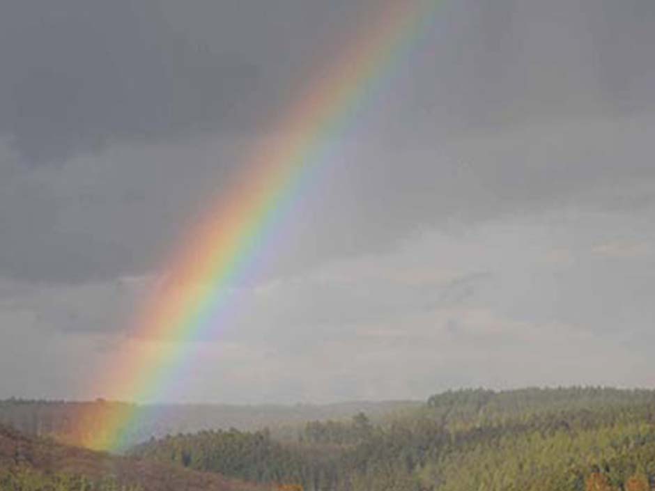 Natur und Regenbogen.