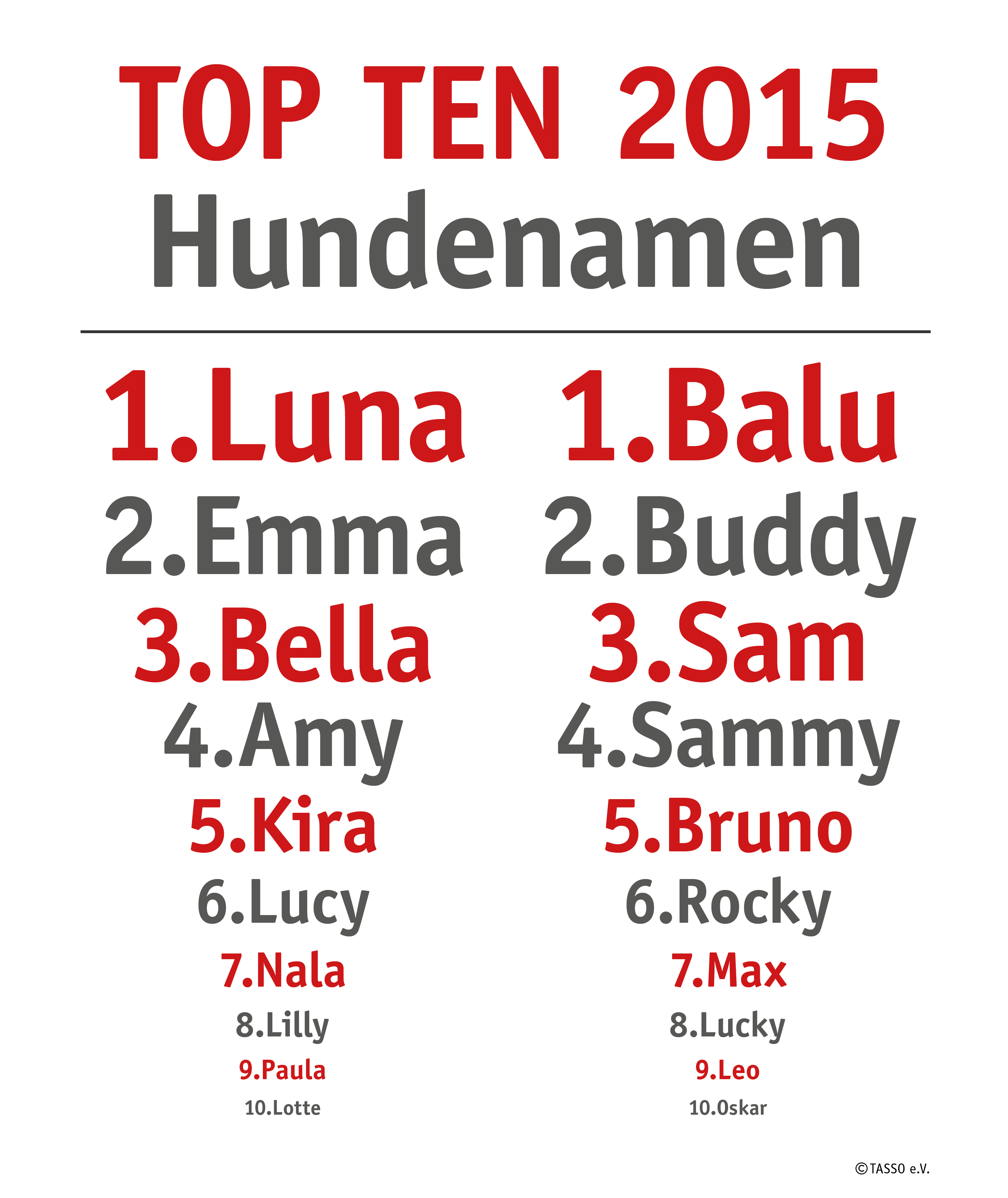 TASSO e.V. weiß Das waren 2015 die beliebtesten Hunde und Katzennamen