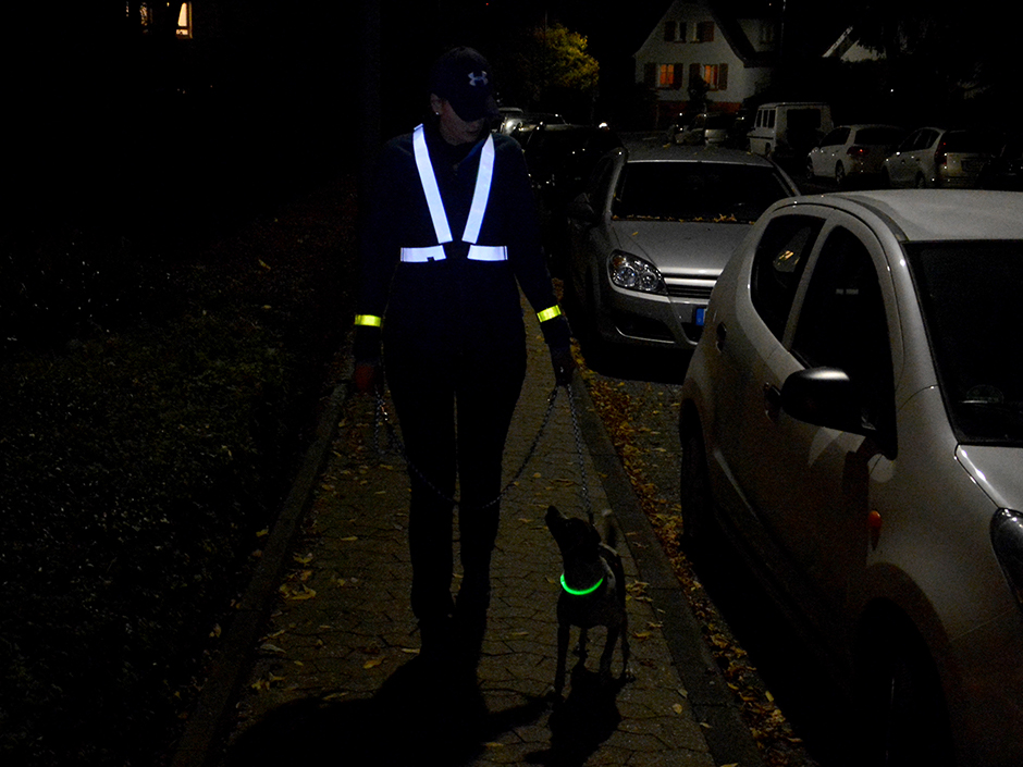 Sehen und gesehen werden - Halter und Hund mit Reflektoren