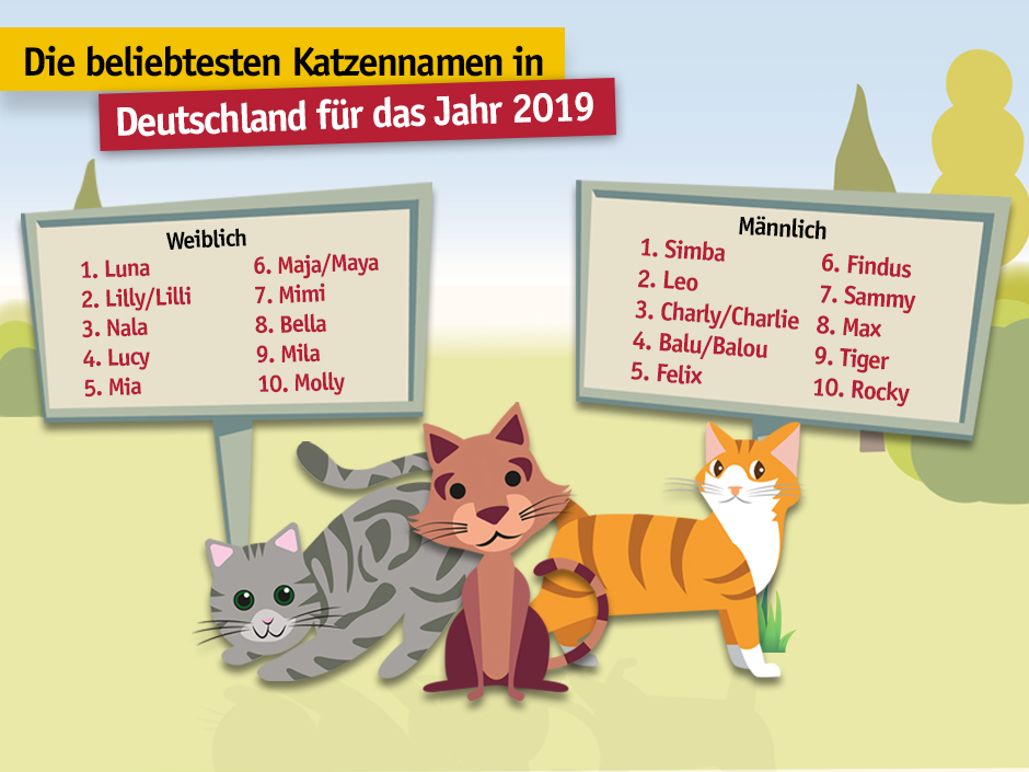 Tiernamen 2018 Mieze Und Bello Sind Nicht Angesagt