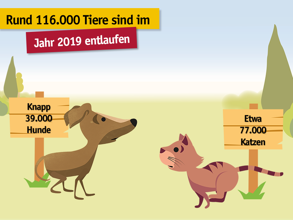 Zwischen Januar und Dezember 2019 sind mehr als 116.000 Vierbeiner bei TASSO als vermisst gemeldet worden. 