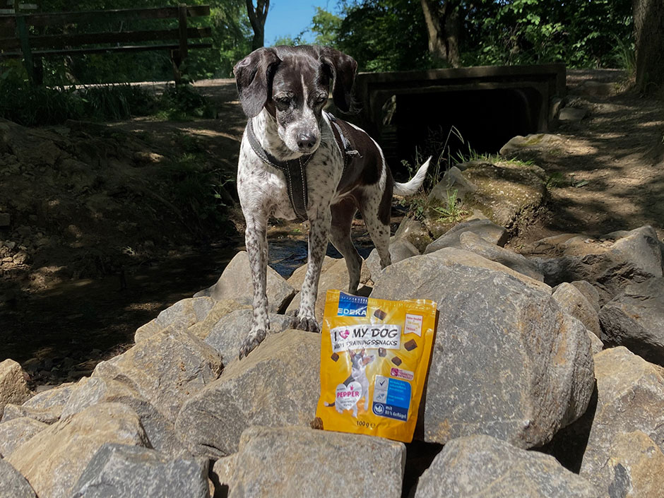 Snacks für den guten Zweck. 