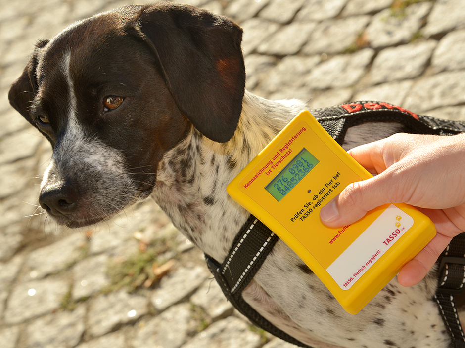 Kennzeichnung und Registrierung tragen zum Tierschutz bei. 