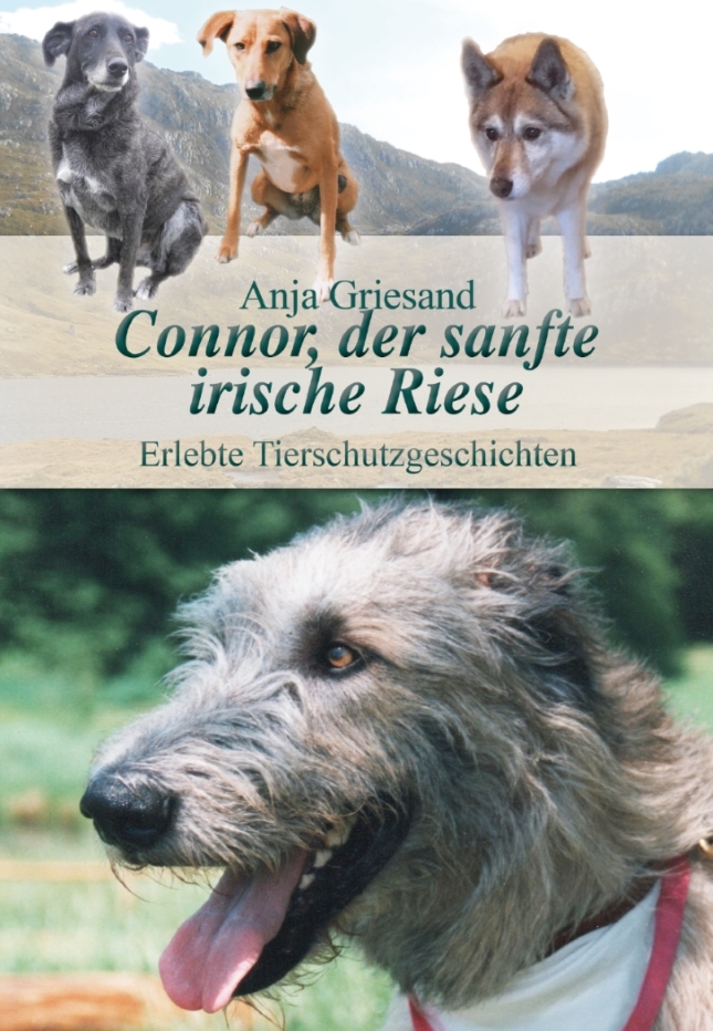 Cover Connor, der sanfte Riese 