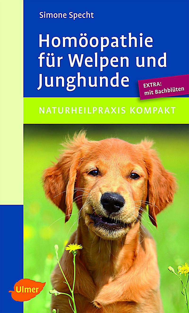 Buchcover Homöopathie für Welpen und Junghunde