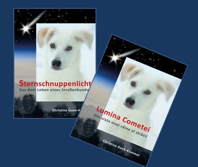 Buchcover Sternschnuppenlicht